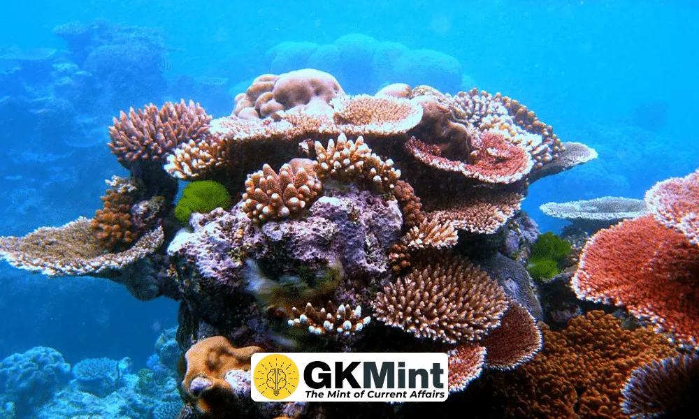 Coral larvae cryobank in the Coral Triangle