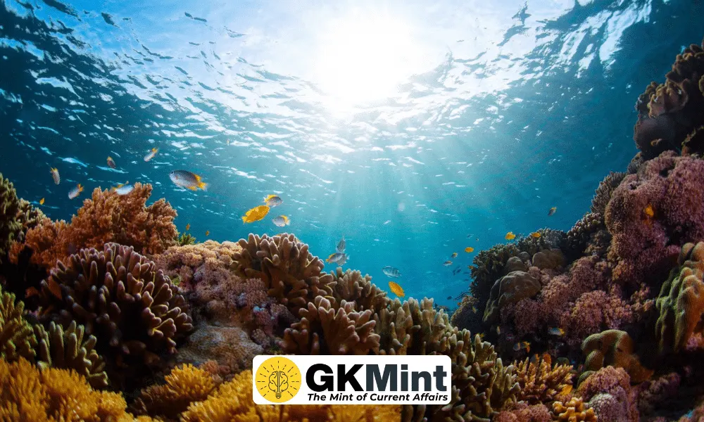 Tamil Nadu Marine Resources Foundation (TNMRF)