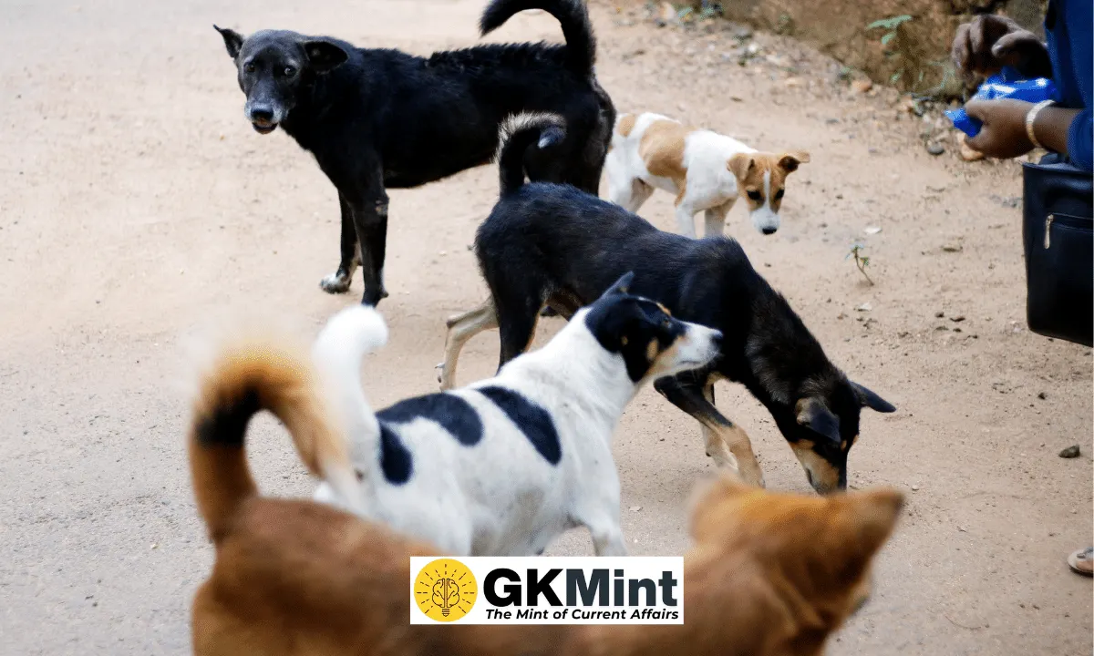 supreme court stray dogs