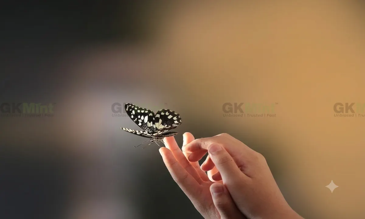 The Power of Unshakable Self Belief